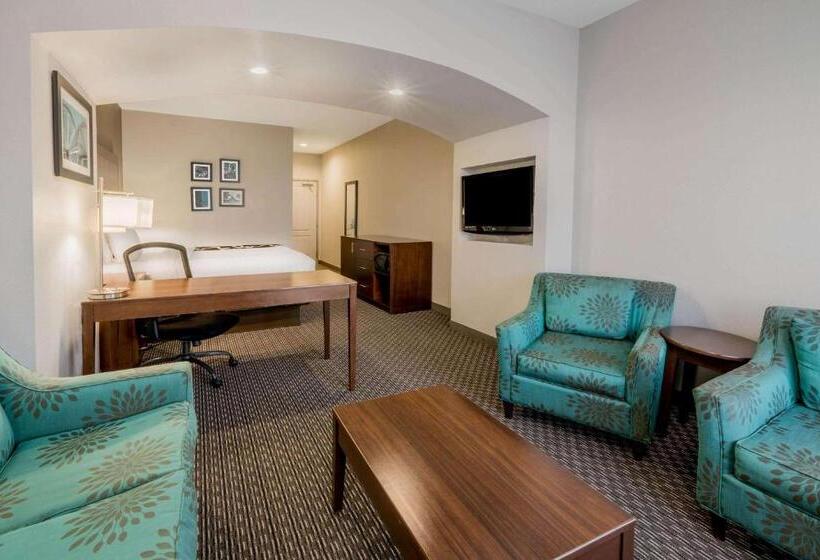 キングサイズベッドのエクゼクティブルーム, La Quinta By Wyndham Fort Worth Eastchase