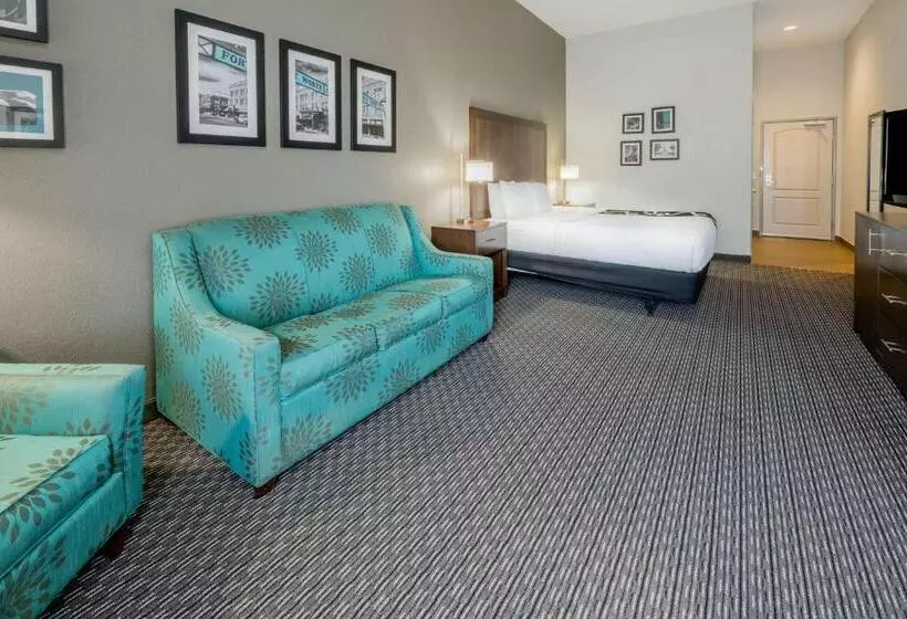身障者適用キングサイズベッドルーム, La Quinta By Wyndham Fort Worth Eastchase