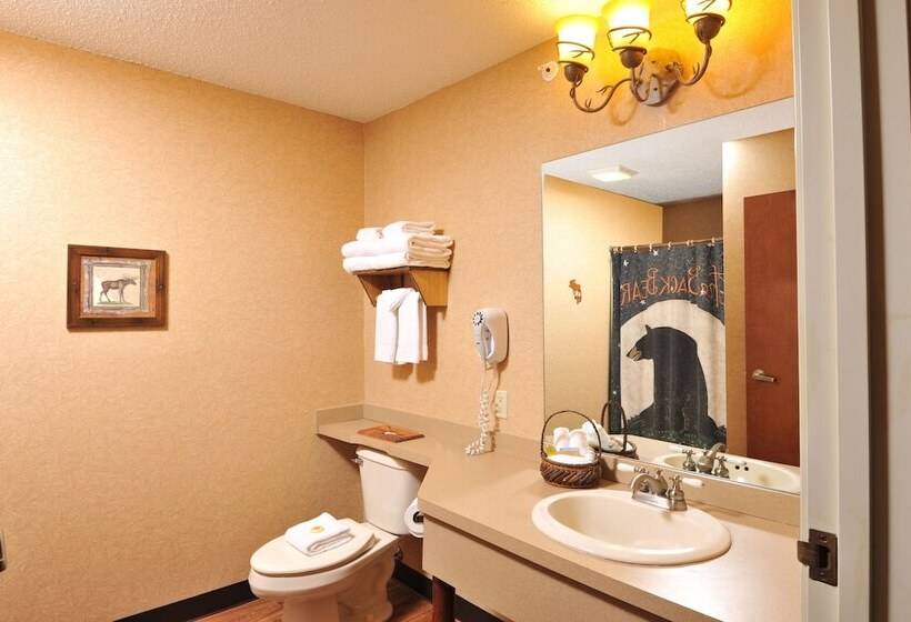 جناح سوبيريور, Cedar Creek Hotel Wausau   Rothschild