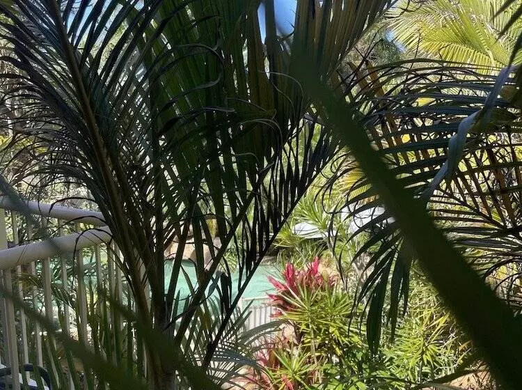キングサイズベッドのデラックスルーム, Oasis Inn Ulladulla