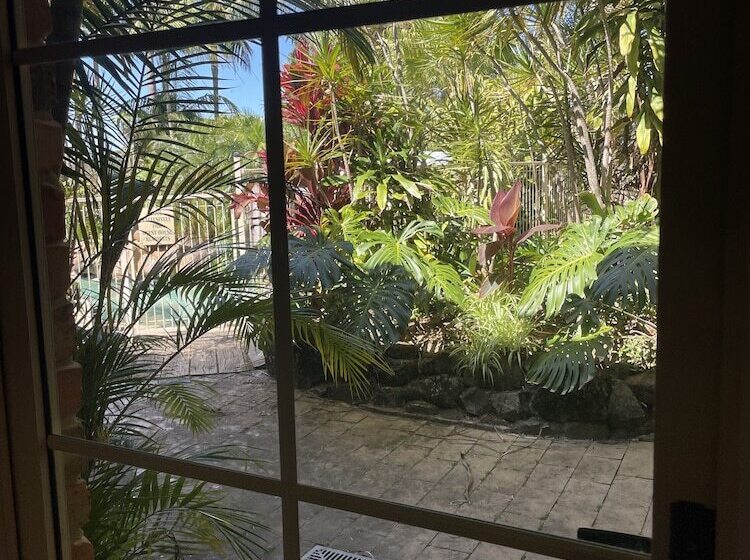 이그제큐티브 룸 킹사이즈 침대, Oasis Inn Ulladulla