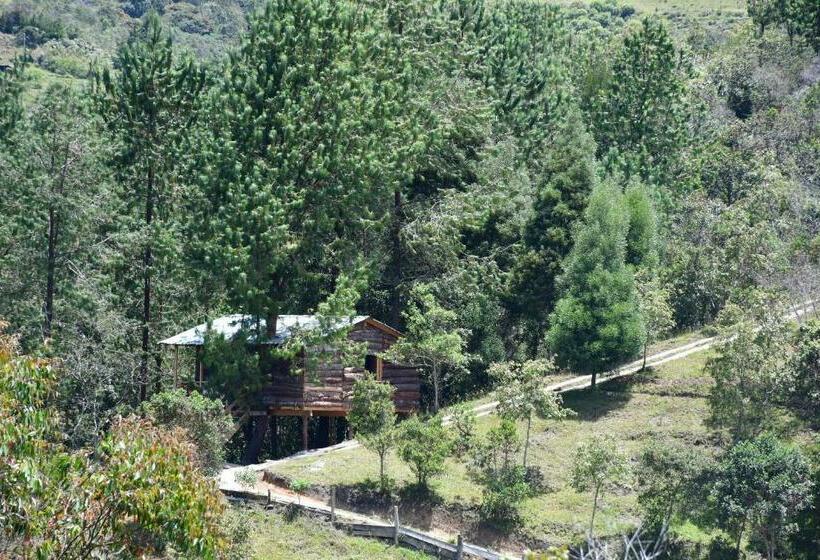 בונגלו משפחתי, Glamping Ancestros Ecoparque