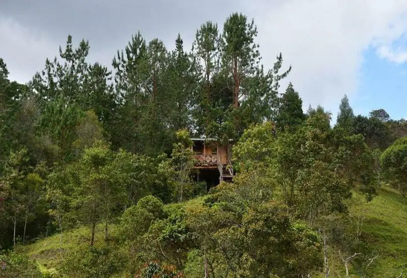 家族用バンガロー, Glamping Ancestros Ecoparque
