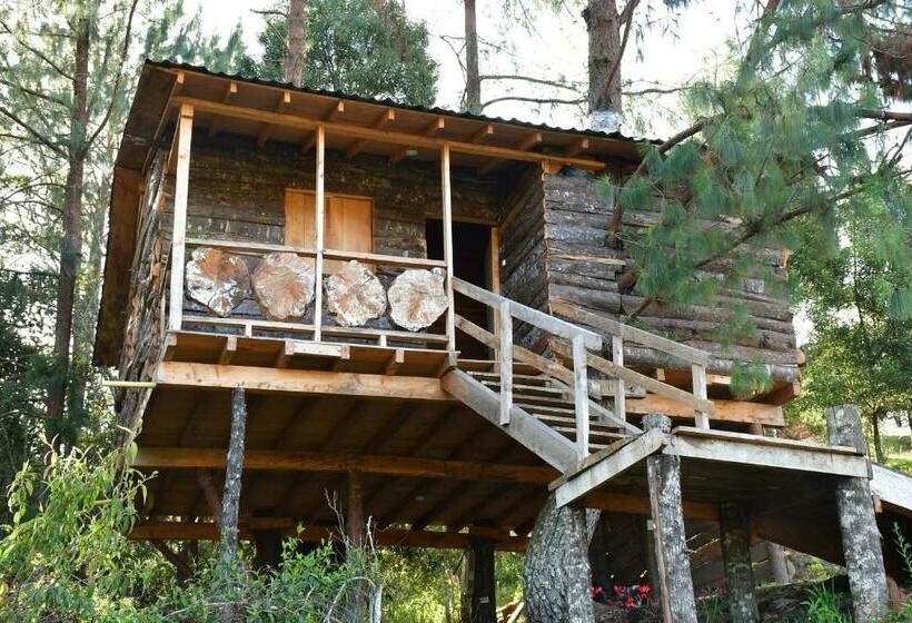 בונגלו משפחתי, Glamping Ancestros Ecoparque