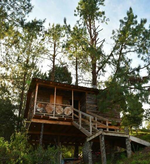 בונגלו משפחתי, Glamping Ancestros Ecoparque