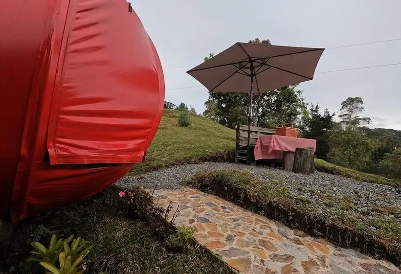 Standard Tent, Glamping Ancestros Ecoparque