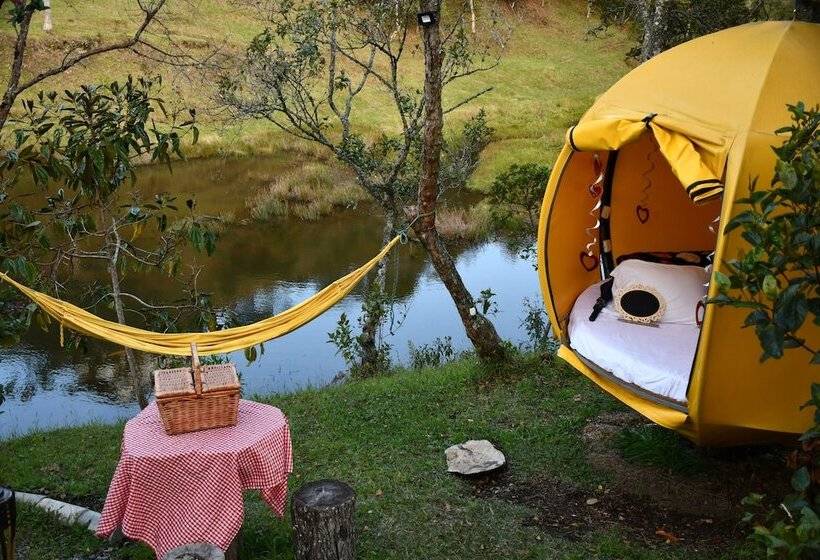 Standard Tent, Glamping Ancestros Ecoparque