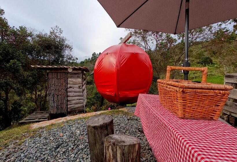 Standard Tent, Glamping Ancestros Ecoparque