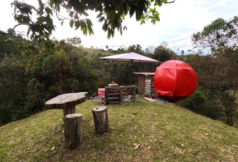 Standard Tent, Glamping Ancestros Ecoparque