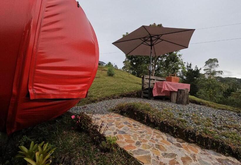 Standard Tent, Glamping Ancestros Ecoparque