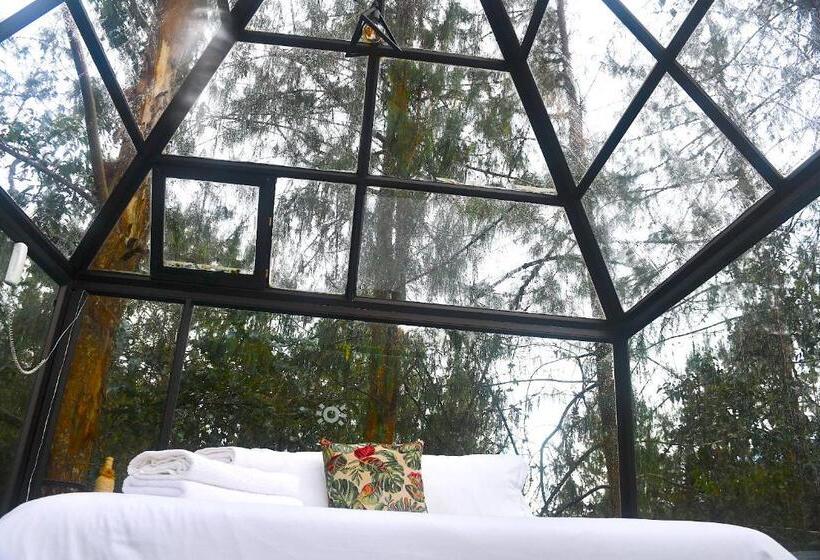 סוויטה דלוקס, Glamping Ancestros Ecoparque