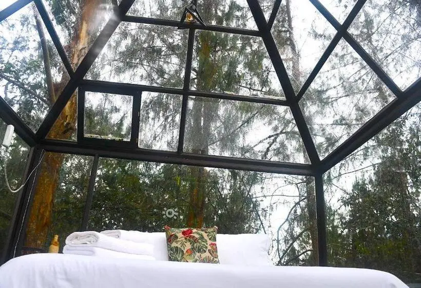 デラックススイート, Glamping Ancestros Ecoparque