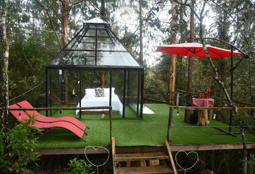 סוויטה דלוקס, Glamping Ancestros Ecoparque