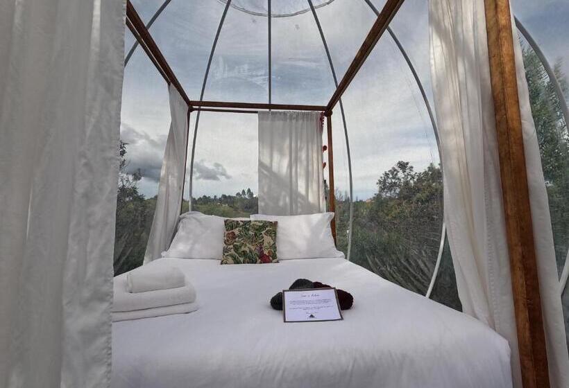 סוויטה עם ג'קוזי, Glamping Ancestros Ecoparque