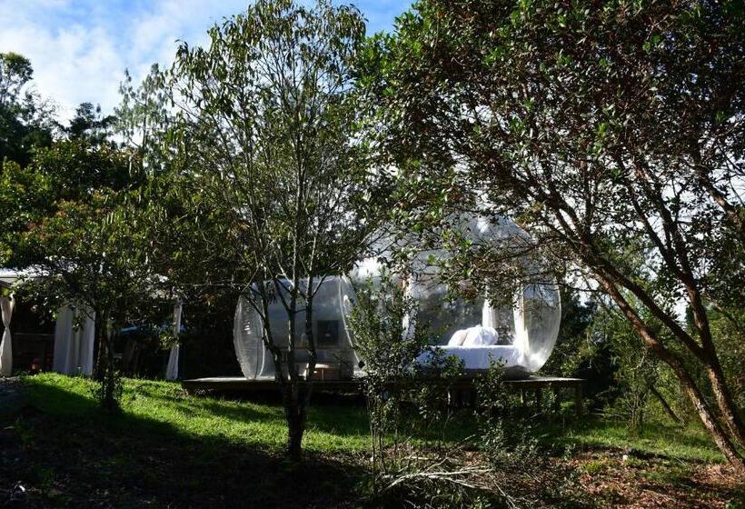 자쿠지 스위트, Glamping Ancestros Ecoparque
