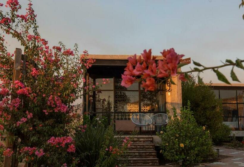 デラックスルーム, Los Amantes Valle De Guadalupe