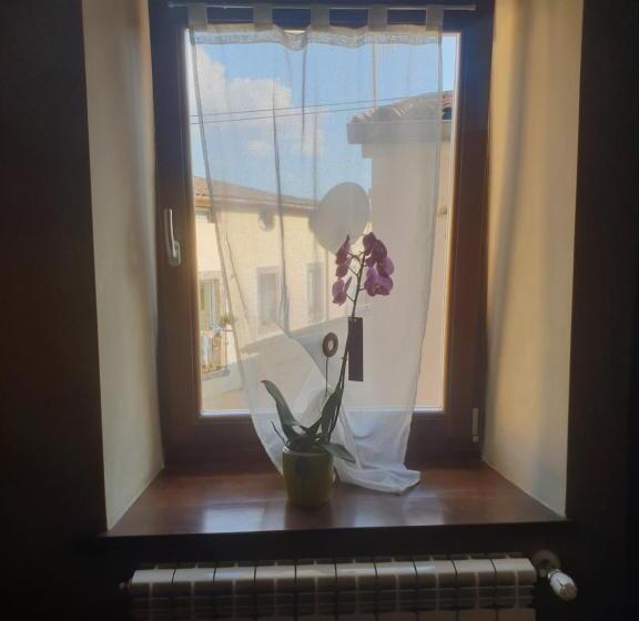 غرفة قياسية فردية, Morry S Lodge Guest House