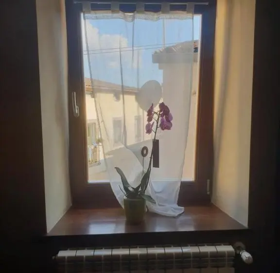 スタンダードシングルルーム, Morry S Lodge Guest House