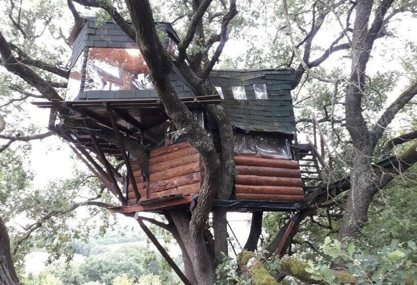标准间带山景, B&b La Cabane Insolite
