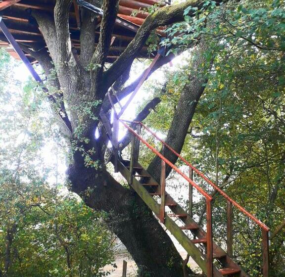 标准间带山景, B&b La Cabane Insolite