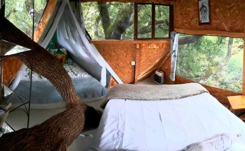 标准间带山景, B&b La Cabane Insolite