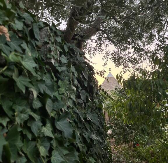 إستوديو قياسى, Borgo Miceli Da Giovanni