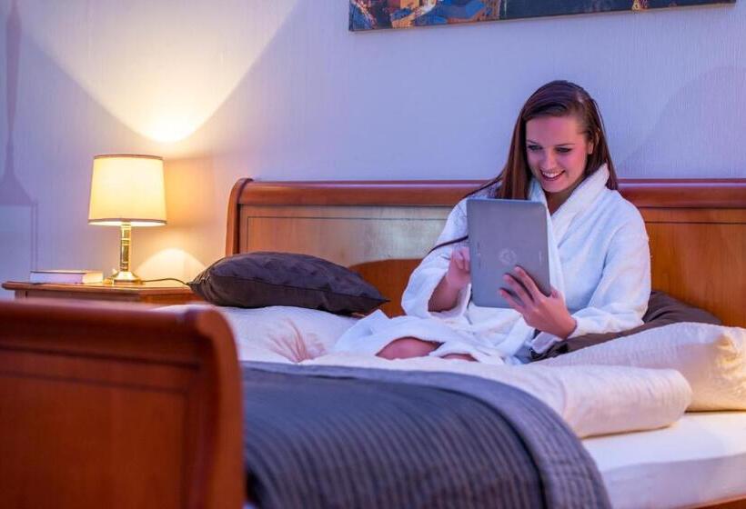 شقة غرفتين, De L Europe Gastein