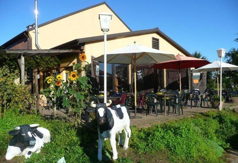 Habitació Estàndard, Die Bunte Kuh In Federow