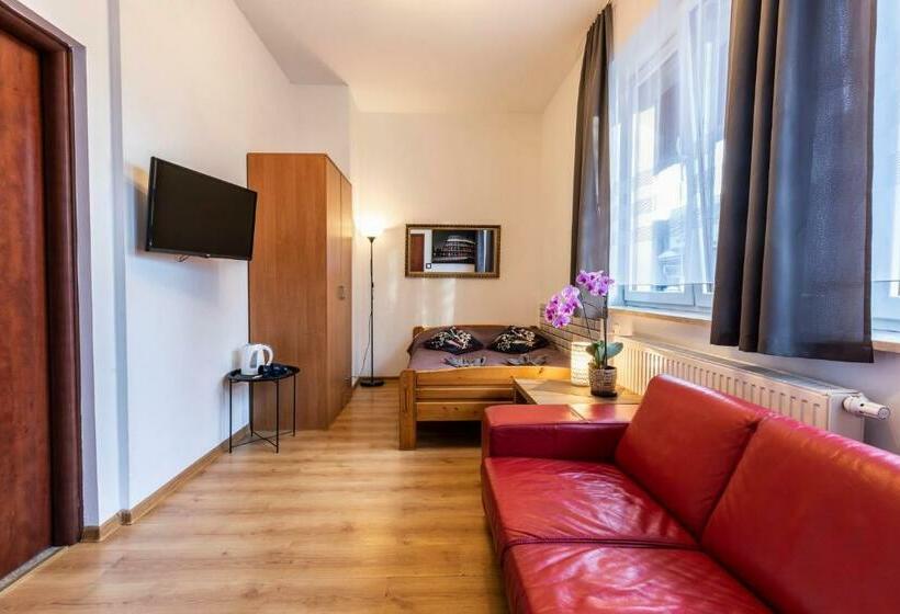 اتاق استاندارد, Brzoza W Centrum Zakopanego