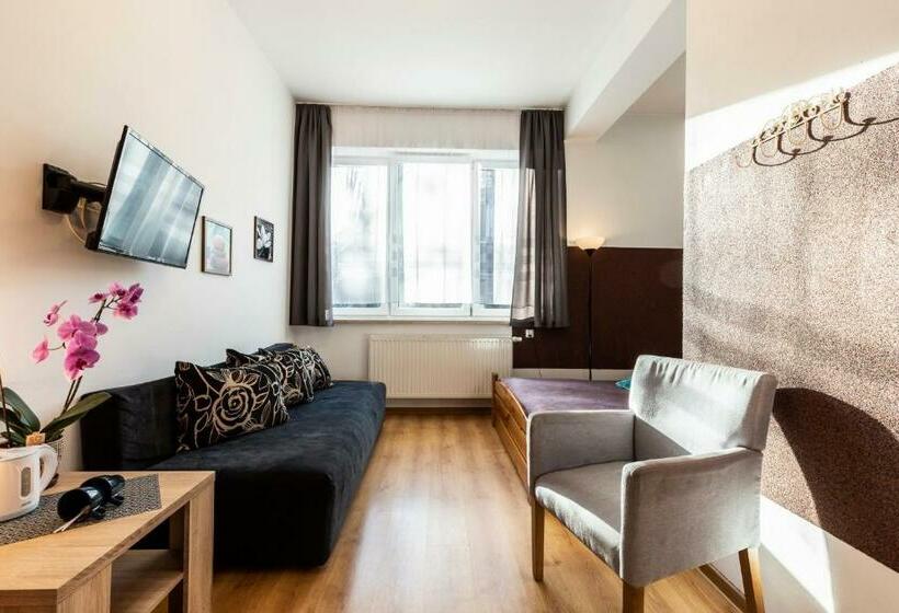 اتاق استاندارد, Brzoza W Centrum Zakopanego