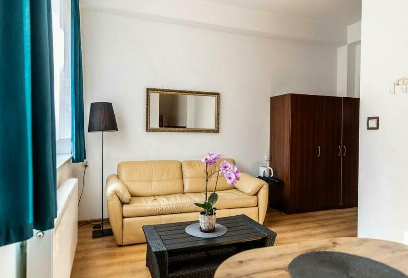 اتاق استاندارد سه نفره, Brzoza W Centrum Zakopanego