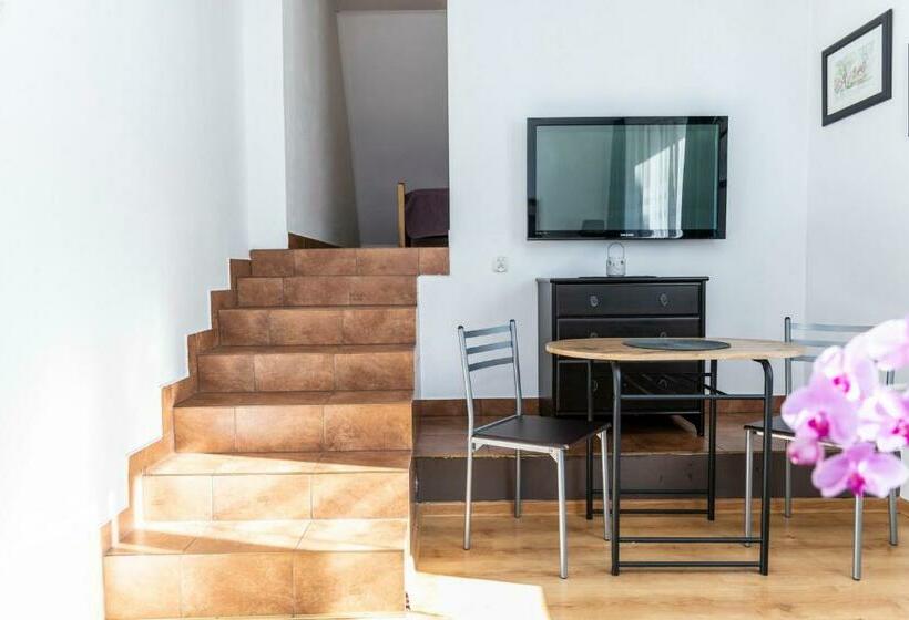 اتاق استاندارد سه نفره, Brzoza W Centrum Zakopanego