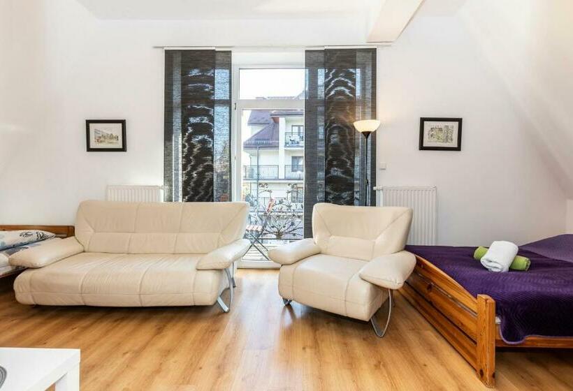 اتاق استاندارد سه نفره, Brzoza W Centrum Zakopanego