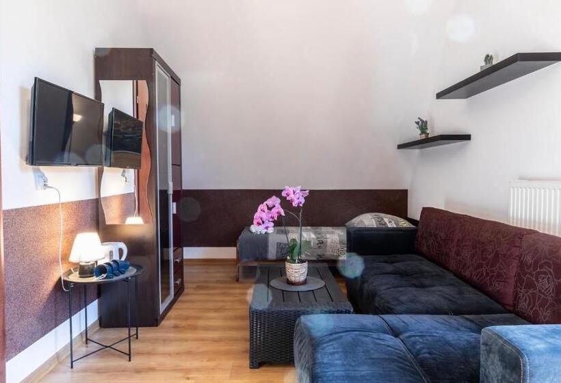 اتاق استاندارد چهار تخته, Brzoza W Centrum Zakopanego