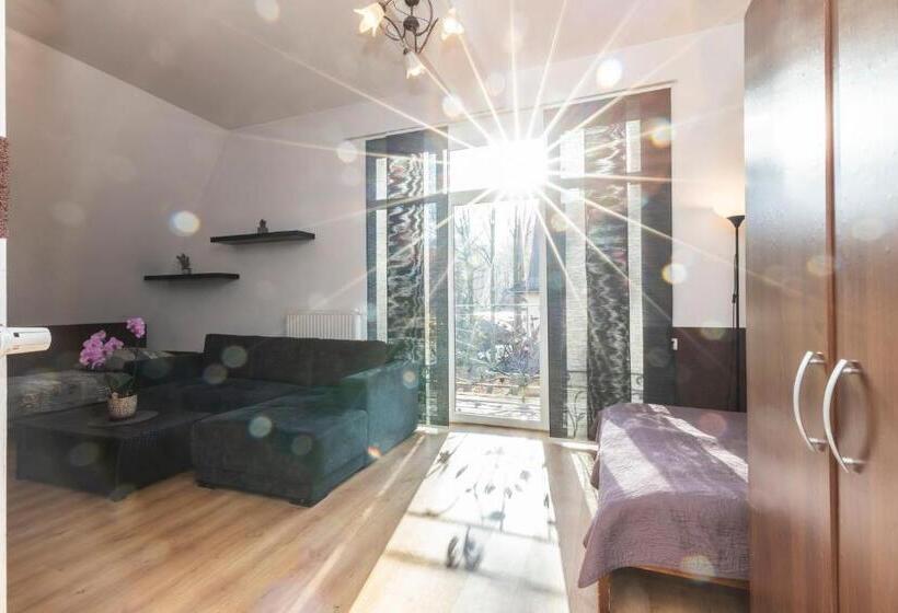 اتاق استاندارد چهار تخته, Brzoza W Centrum Zakopanego