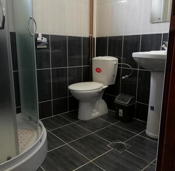 استودیو استاندارد با بالکن, Apartmani Nana Sokobanja