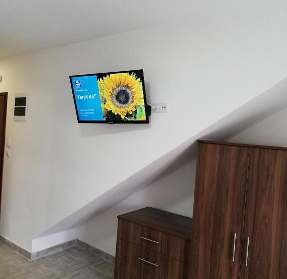 استودیو استاندارد با بالکن, Apartmani Nana Sokobanja