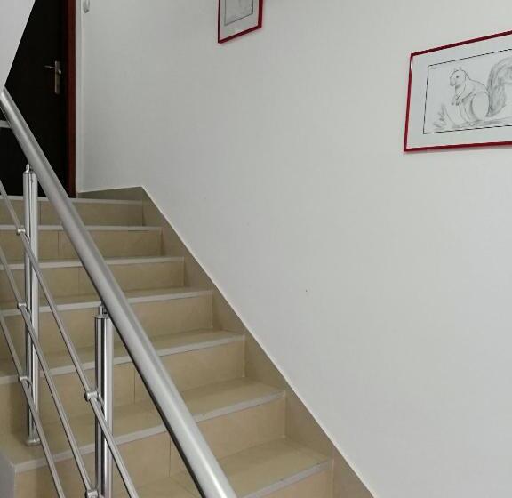 آپارتمان 1 خوابه با چشم‌انداز, Apartmani Nana Sokobanja