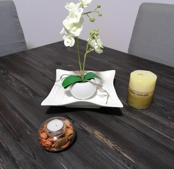 آپارتمان 1 خوابه با چشم‌انداز, Apartmani Nana Sokobanja