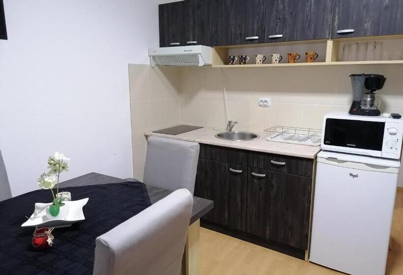آپارتمان 1 خوابه با چشم‌انداز, Apartmani Nana Sokobanja