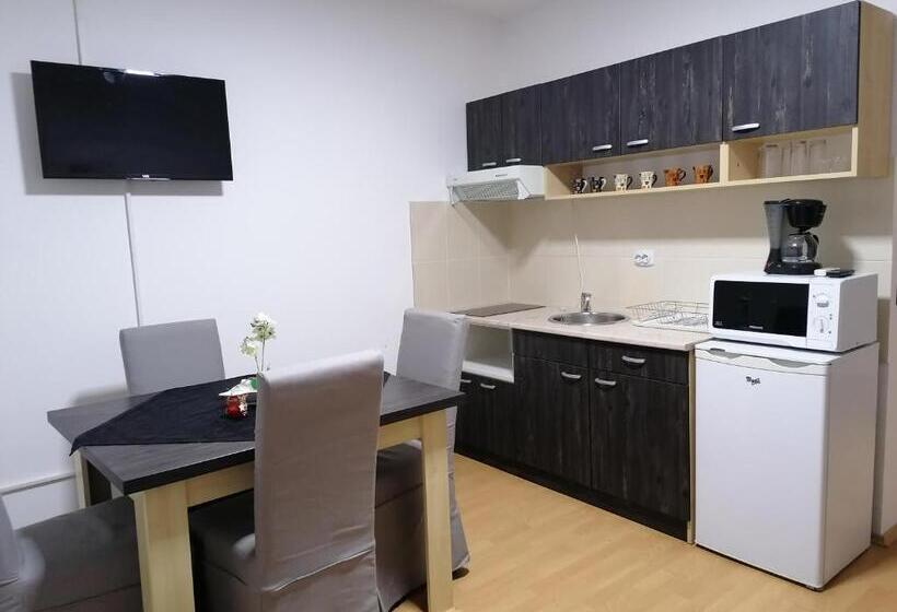 آپارتمان 1 خوابه با چشم‌انداز, Apartmani Nana Sokobanja