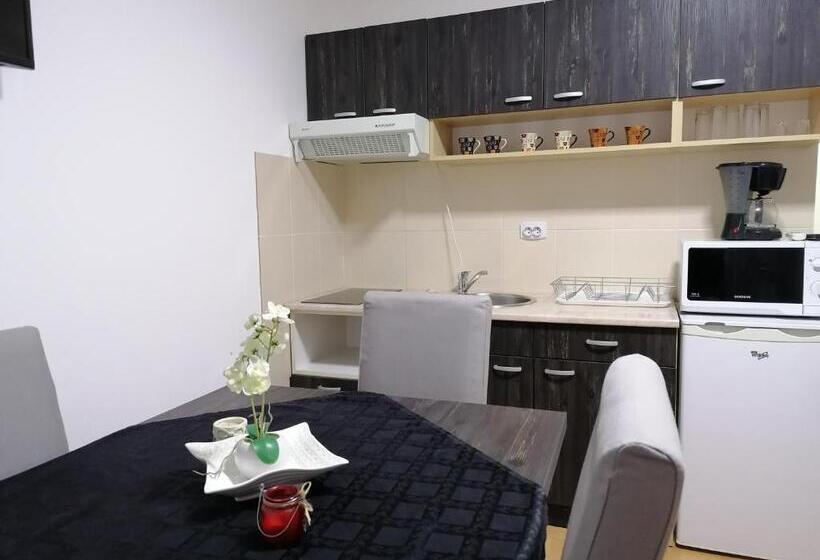 آپارتمان 1 خوابه با چشم‌انداز, Apartmani Nana Sokobanja