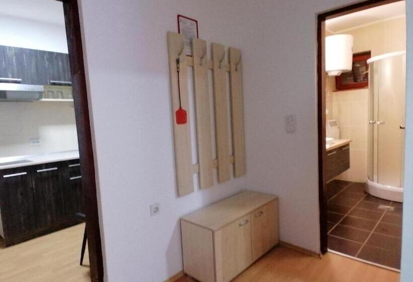 آپارتمان 1 خوابه با چشم‌انداز باغ, Apartmani Nana Sokobanja