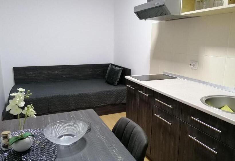 آپارتمان 1 خوابه با چشم‌انداز باغ, Apartmani Nana Sokobanja