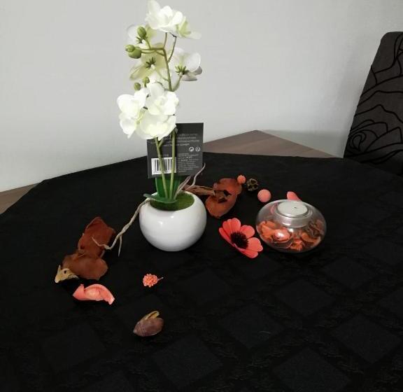 استودیو استاندارد با چشم‌انداز باغ, Apartmani Nana Sokobanja