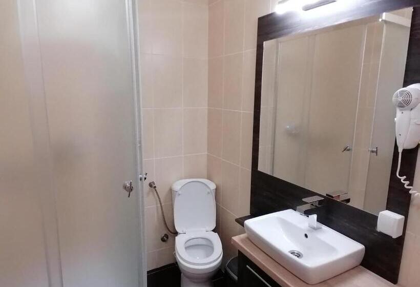 آپارتمان 1 خوابه با چشم‌انداز, Apartmani Nana Sokobanja