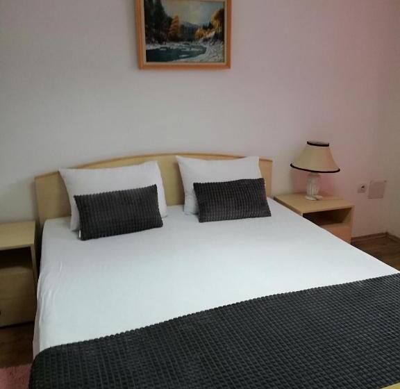 آپارتمان 2 خوابه, Apartmani Nana Sokobanja