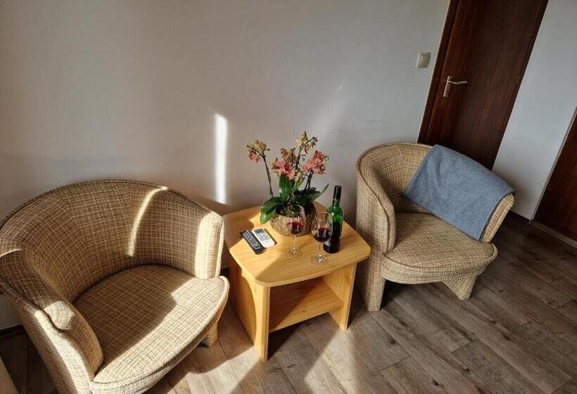 اتاق استاندارد با بالکن, Balaton Panzió Füred
