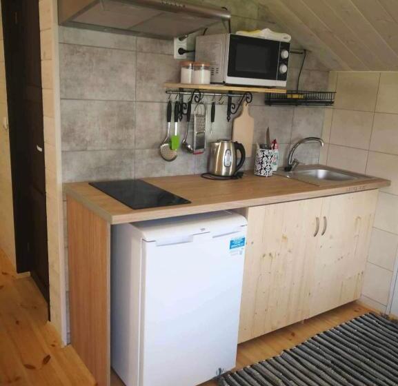 Standard Rum med Terrass, Dobilas Ir Jura