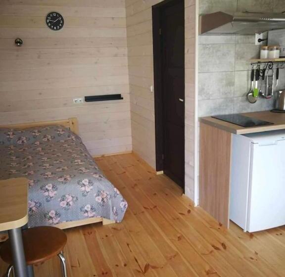 Standard Rum med Terrass, Dobilas Ir Jura